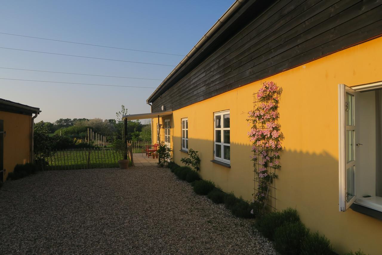 Vejby Bed & Breakfast Du Nord מראה חיצוני תמונה