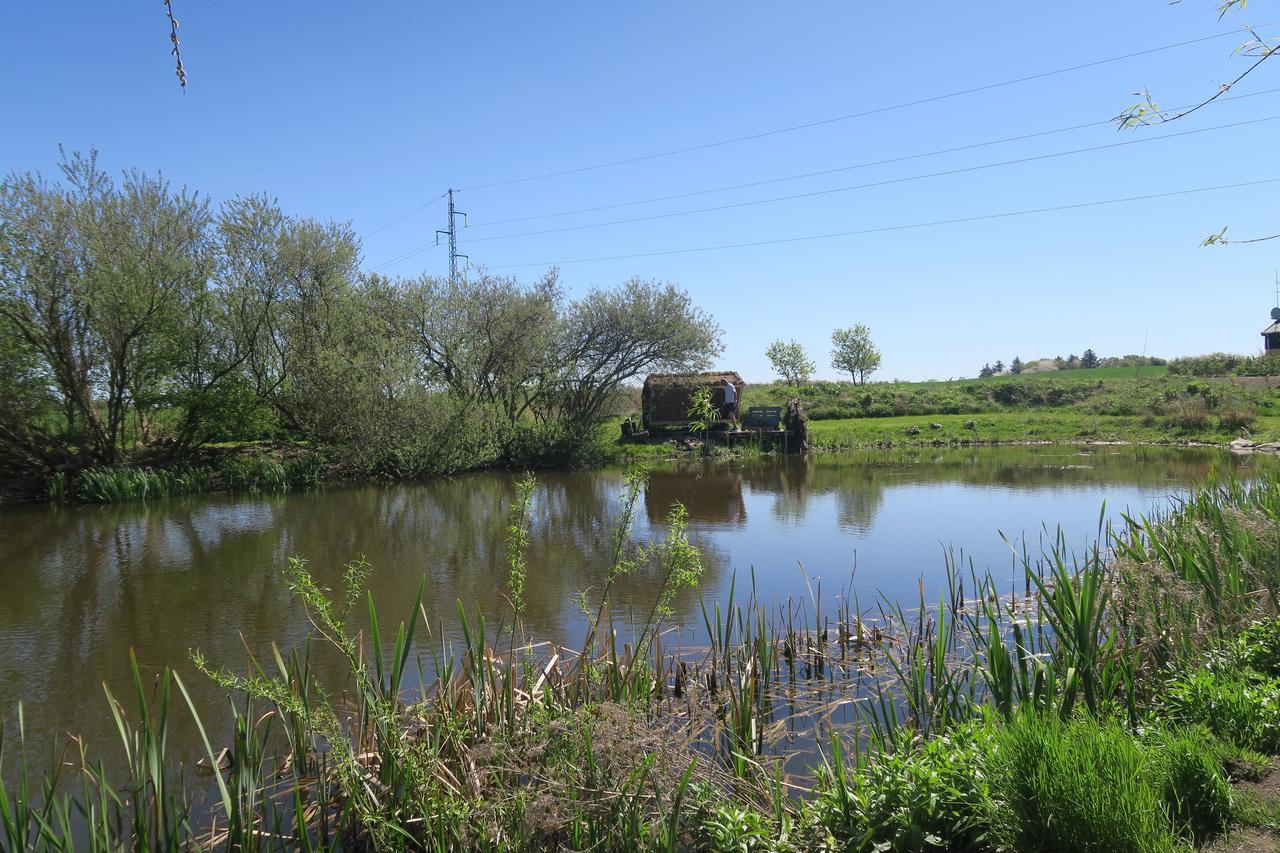 Vejby Bed & Breakfast Du Nord מראה חיצוני תמונה